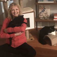 Laurie, Ann Arbor pet sitter